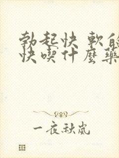 勃起快 软的也快吃什么药