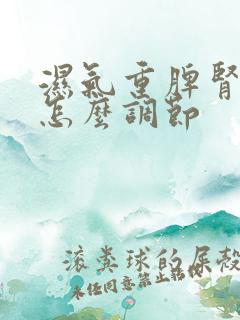 湿气重脾肾两虚怎么调节