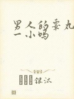 男人的睾丸一大一小吗