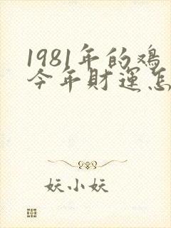 1981年的鸡今年财运怎么样