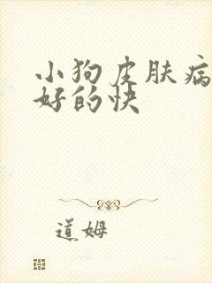 小狗皮肤病怎么好的快