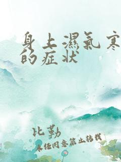 身上湿气寒气重的症状