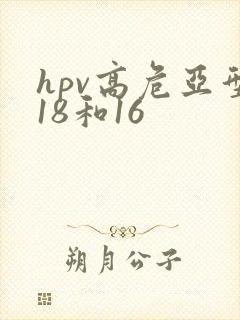 hpv高危亚型18和16