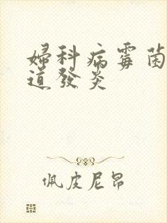 妇科病霉菌性阴道发炎