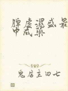 脾虚湿盛最好的中成药