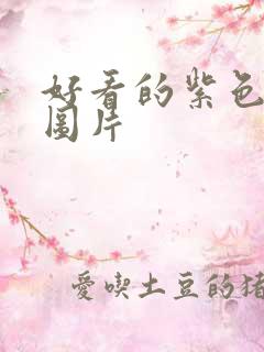 好看的紫色背景图片