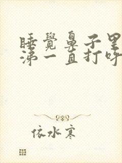 睡觉鼻子里有鼻涕一直打呼噜