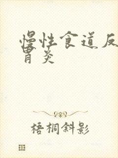 慢性食道反流性胃炎