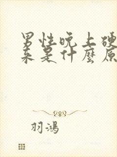 男性晚上硬不起来是什么原因