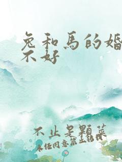 兔和马的婚配好不好