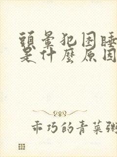 头晕犯困睡不着是什么原因