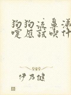 狗狗流鼻涕打喷嚏应该吃什么药呢