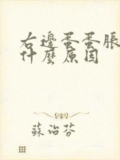 右边蛋蛋胀痛是什么原因