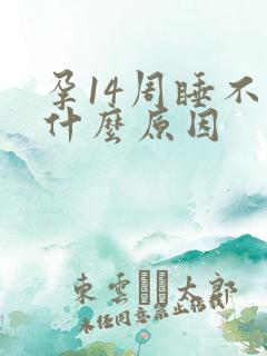 孕14周睡不着什么原因