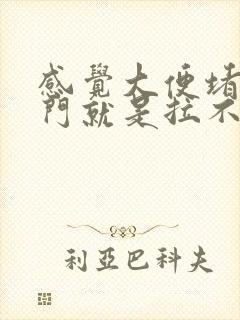 感觉大便堵在肛门就是拉不下来怎么办