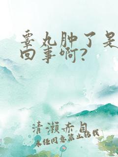 睾丸肿了是怎么回事啊?