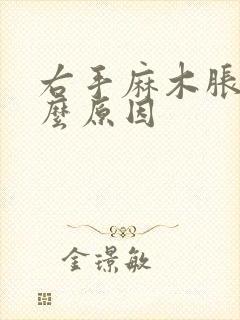 右手麻木胀痛什么原因