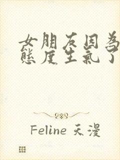 女朋友因为我的态度生气了怎么办