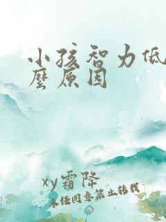 小孩智力低有什么原因