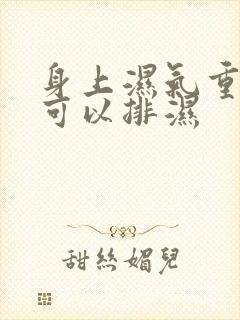 身上湿气重怎样可以排湿