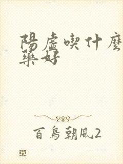 阳虚吃什么补肾药好