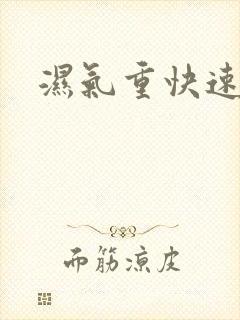 湿气重快速排湿