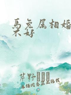 马兔属相婚配好不好