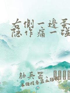 右侧一边蛋蛋隐隐作痛一碰就疼