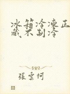 冰箱冷冻正常冷藏不制冷