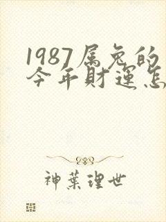 1987属兔的今年财运怎么样
