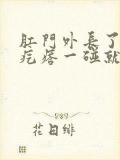 肛门外长了一个疙瘩一碰就疼