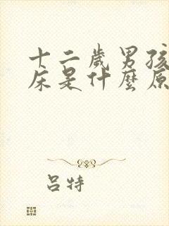 十二岁男孩还尿床是什么原因