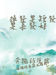 掉发是短发好还是长发好