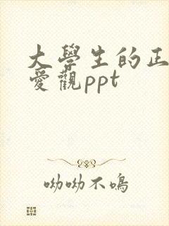 大学生的正确恋爱观ppt