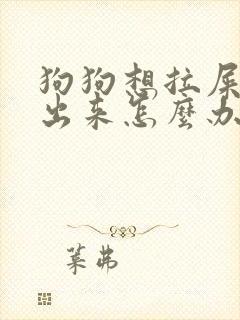 狗狗想拉屎拉不出来怎么办