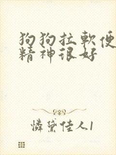 狗狗拉软便但是精神很好