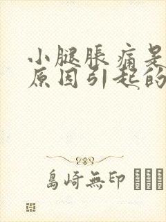 小腿胀痛是什么原因引起的