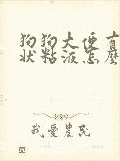 狗狗大便有果冻状粘液怎么回事