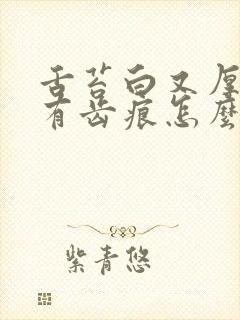 舌苔白又厚边缘有齿痕怎么回事啊