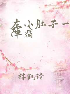 左小肚子一阵一阵痛