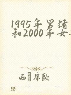 1995年男猪和2000年女龙婚配如何