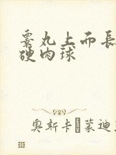 睾丸上面长了个硬肉球