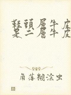 鞋头层牛皮好还是二层牛皮好