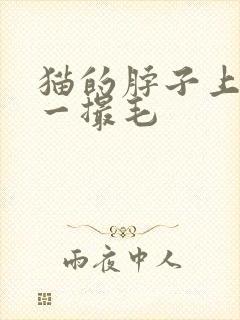 猫的脖子上掉了一撮毛