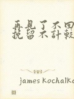 再见了不回头不挽留不计较是什么歌