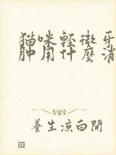 猫咪轻微牙龈红肿用什么消炎药