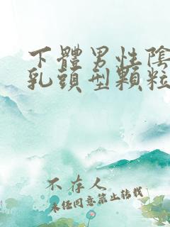 下体男性阴唇长乳头型颗粒