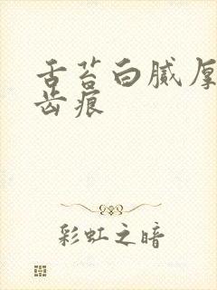 舌苔白腻厚 有齿痕