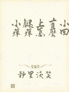 小腿上有小疙瘩痒痒怎么回事