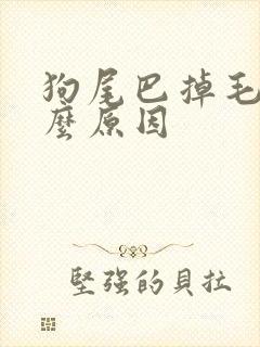 狗尾巴掉毛是什么原因